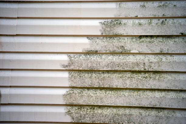 Same-Day Junk Removal Services in Union Springs, NY